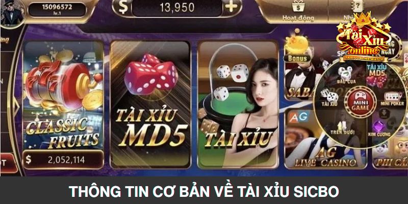 Giới thiệu chung một số thông tin cơ bản về tài xỉu sicbo
