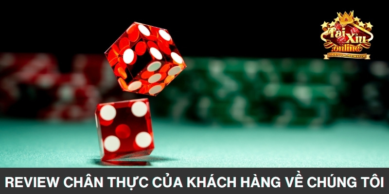 Review chân thực của khách hàng về chúng tôi