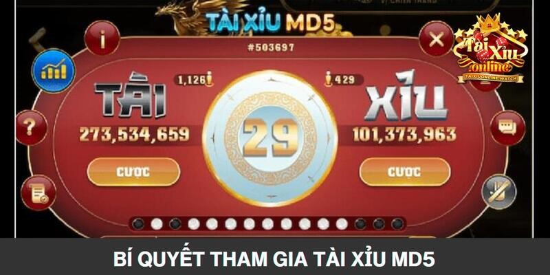 Chia sẻ bí quyết đánh thắng tài xỉu, thu thưởng giá trị