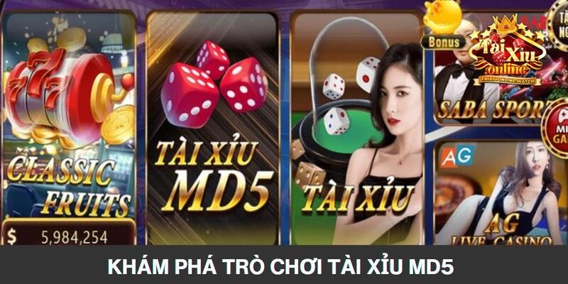 Sơ lược thông tin về bộ môn cá cược tài xỉu MD5