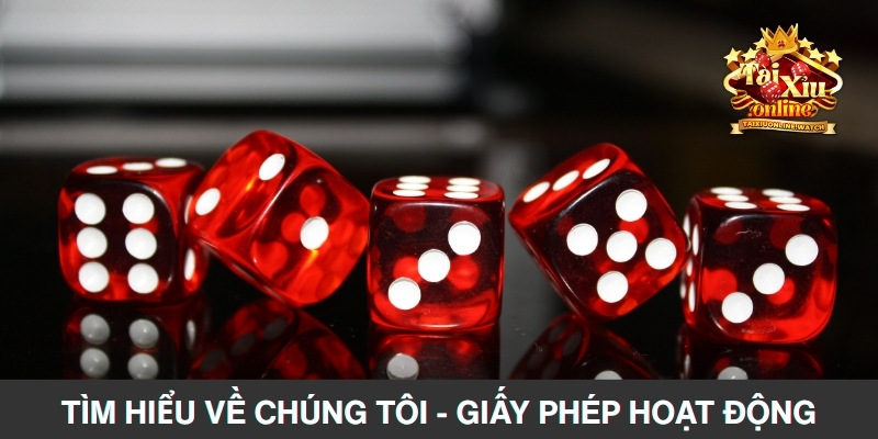 Tìm hiểu về chúng tôi - các loại giấy phép hoạt động